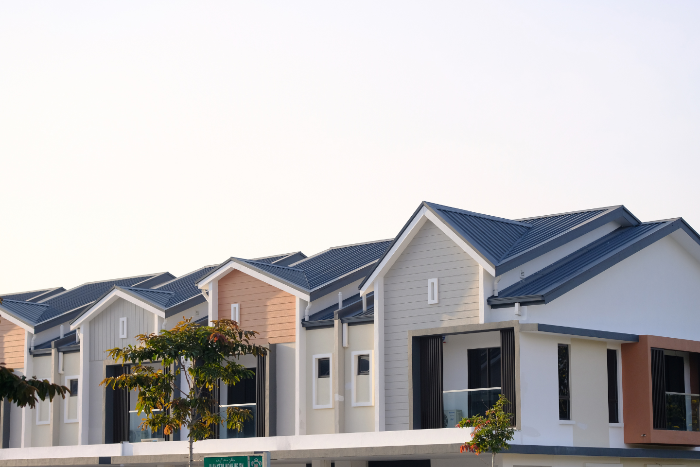 image of Why Short-Notice Auction Checks Demand Smart Triage in Pukekohe